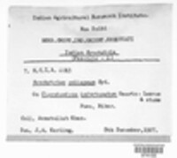 Image Associated With the Occurence